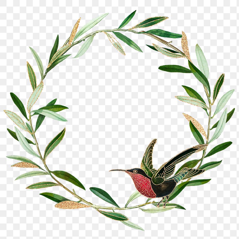 Olive branches wreath png /green botanical