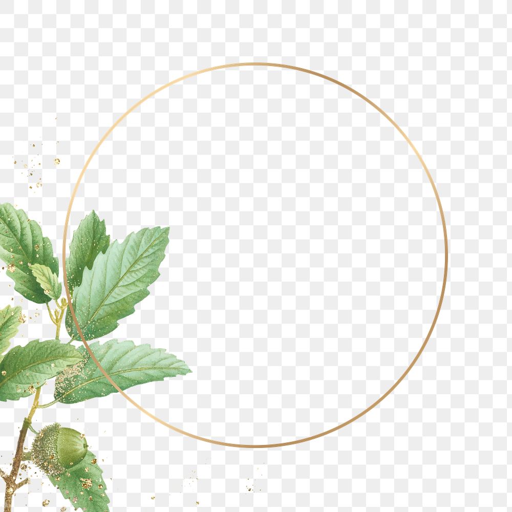 Frame png botanical oak leaf pattern