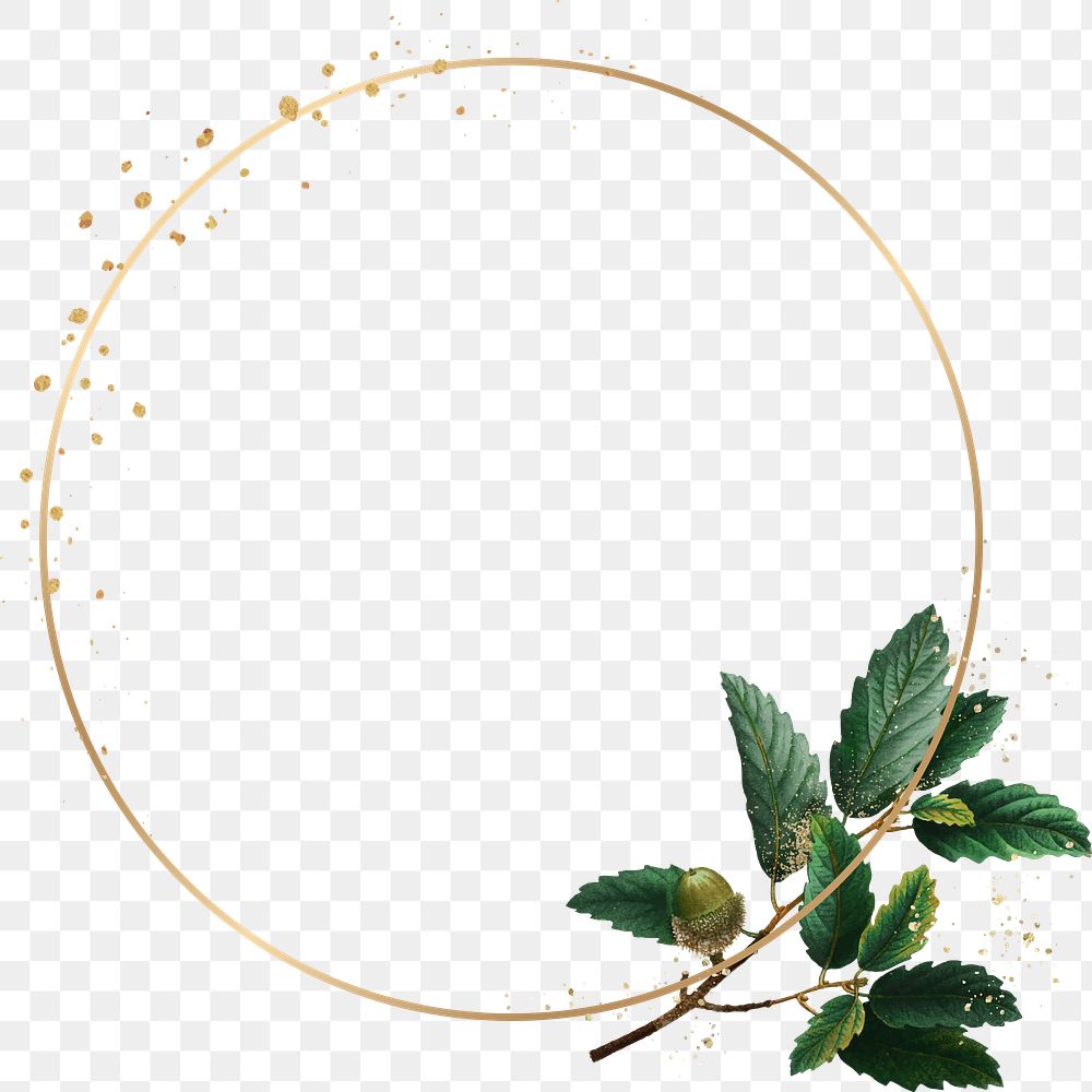 Frame png botanical oak leaf pattern