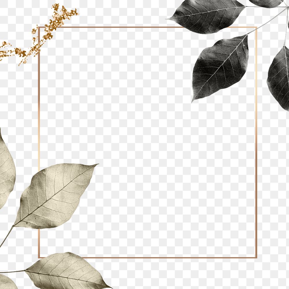 Gold square frame with foliage pattern design element