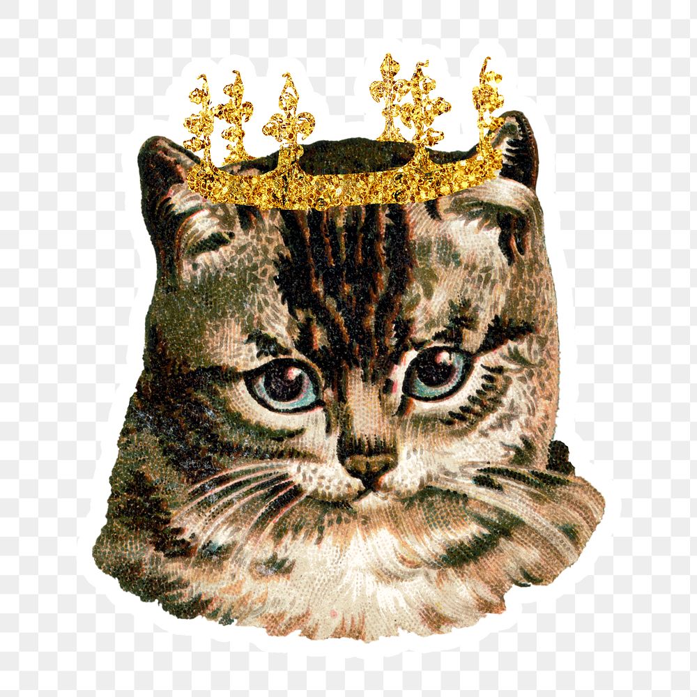 Cat with glittery crown sticker transparent png