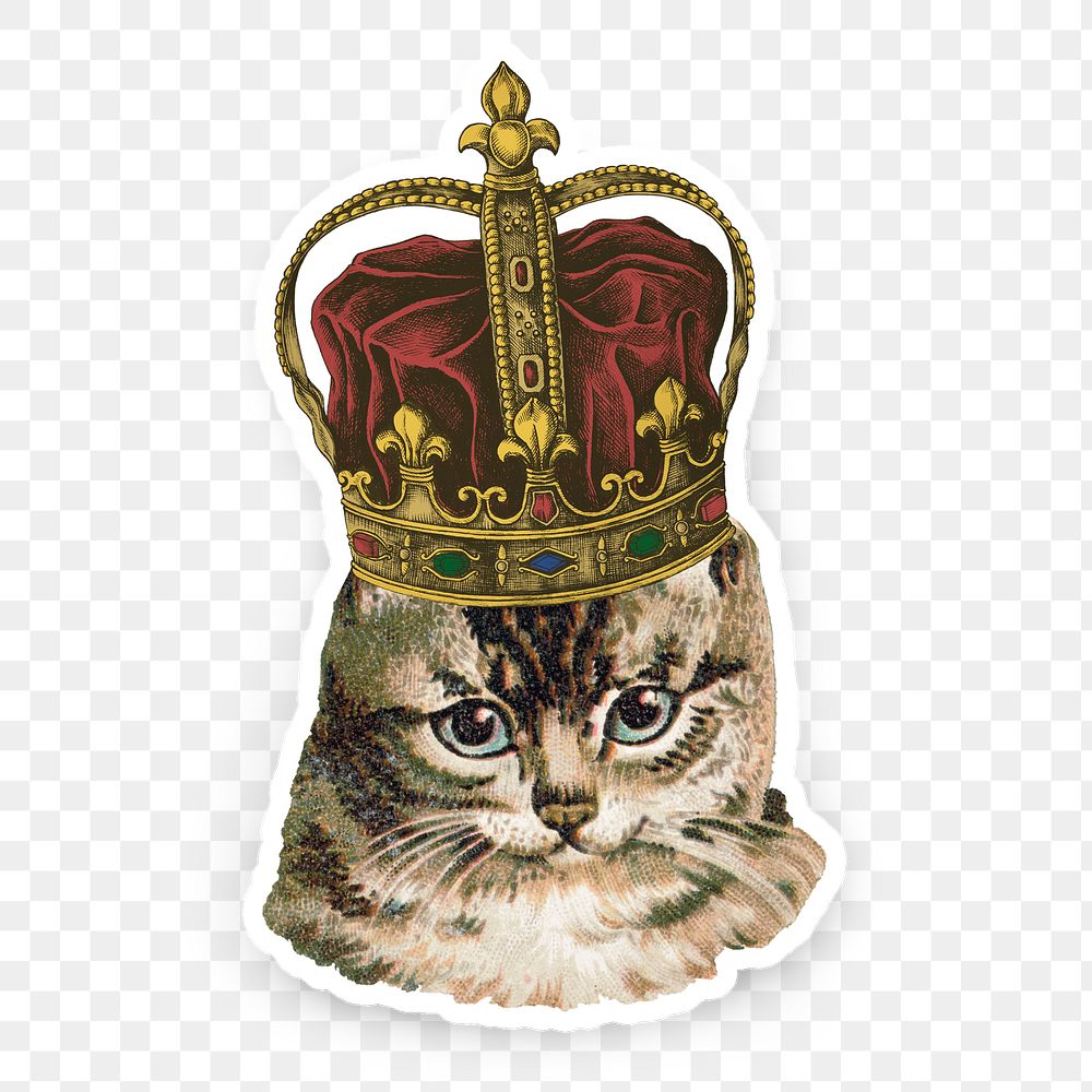 Cat wearing a crown sticker transparent png