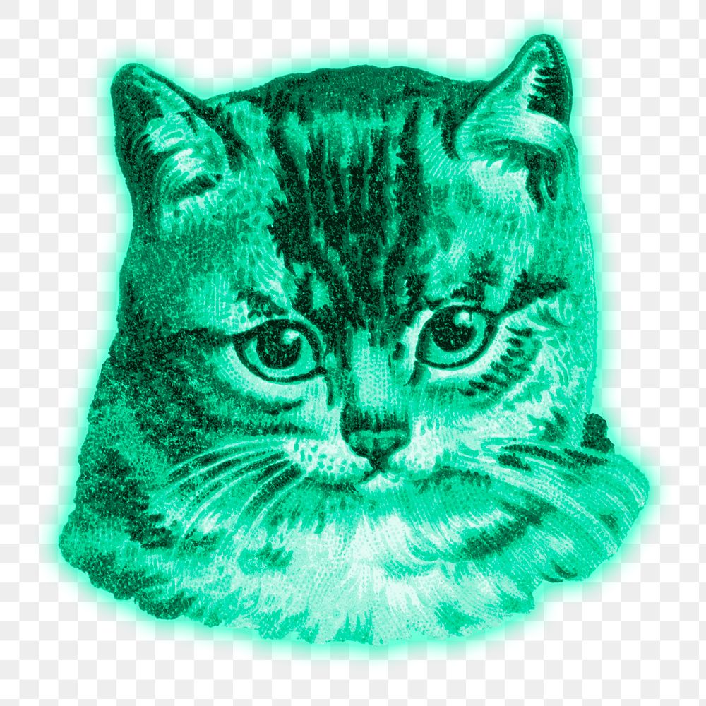 Green cat sticker  transparent png