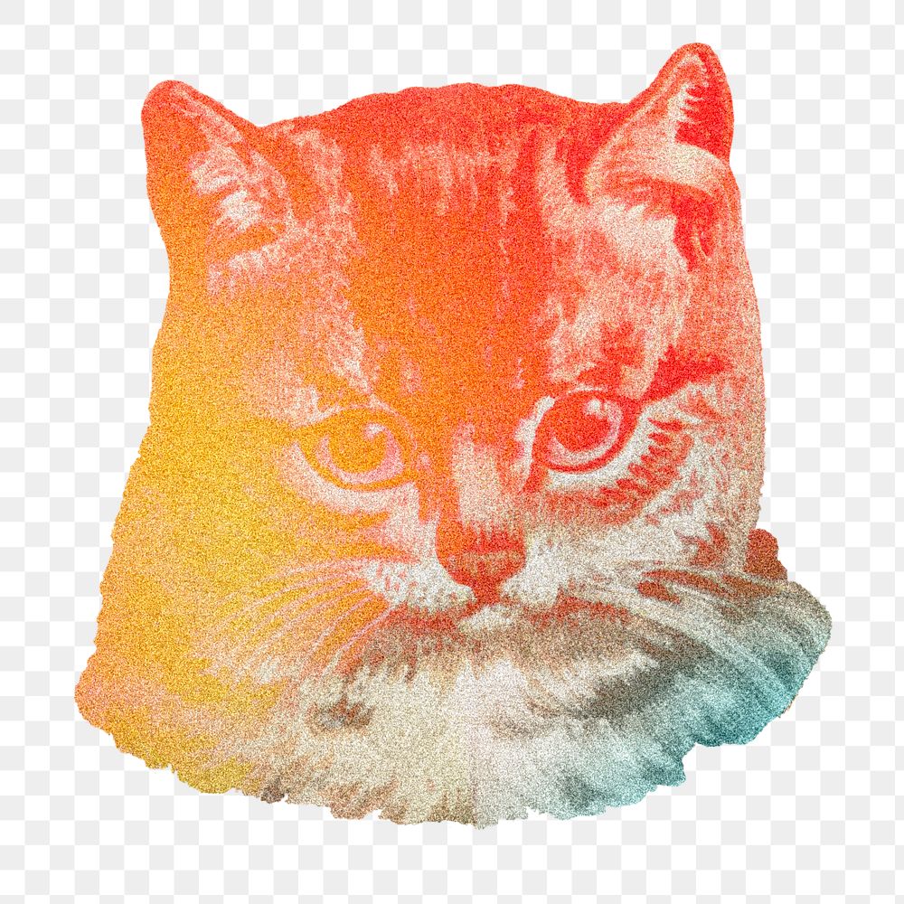 Staring cat sticker transparent png