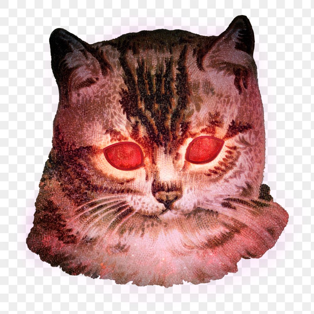 of Cat with red laser eyes sticker transparent png by nam about funny, lase...
