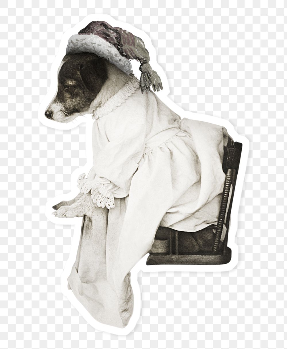 Dog on Christmas day sticker transparent png