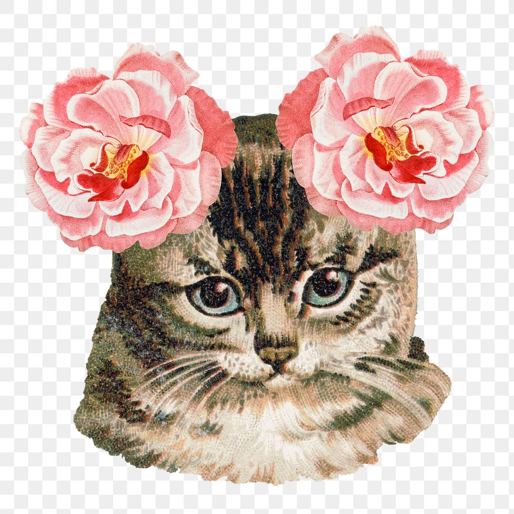 Hand drawn cute cat with ever-blowing roses on it's ears transparent png