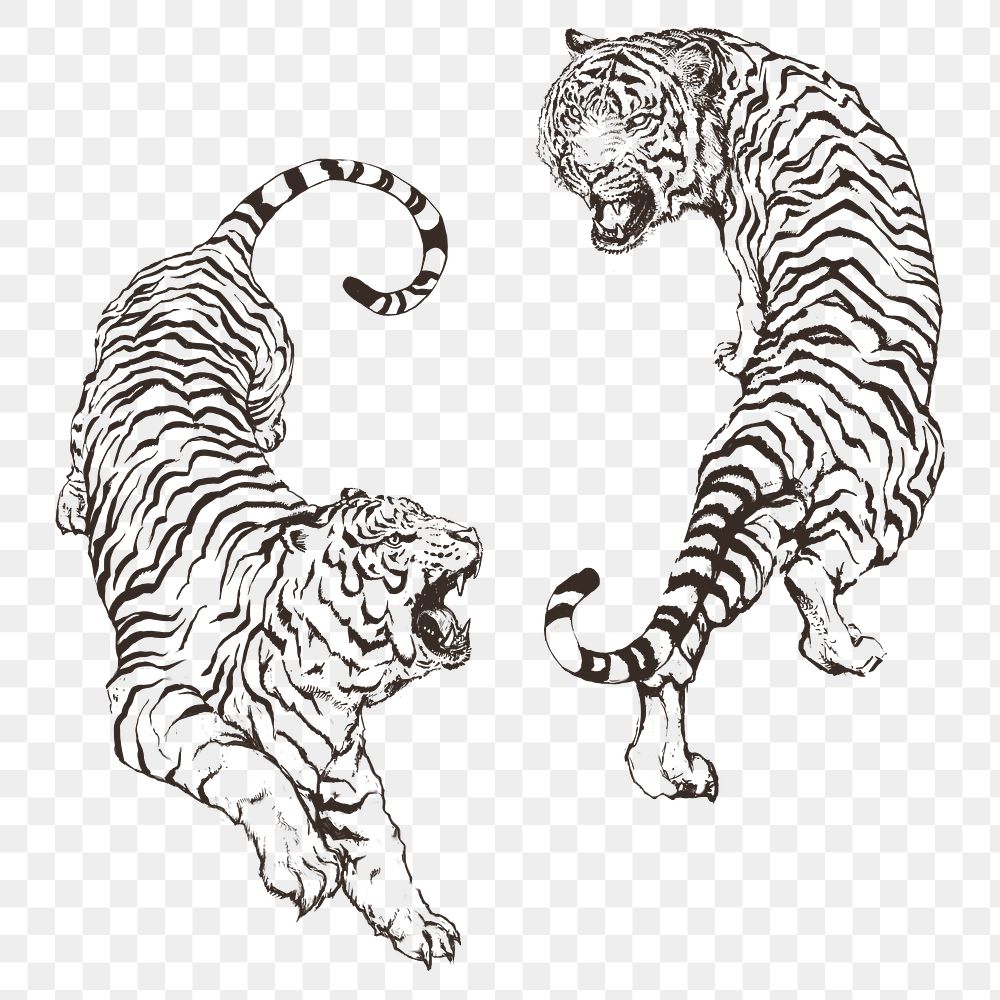 Hand drawn roaring yin yang tigers overlay