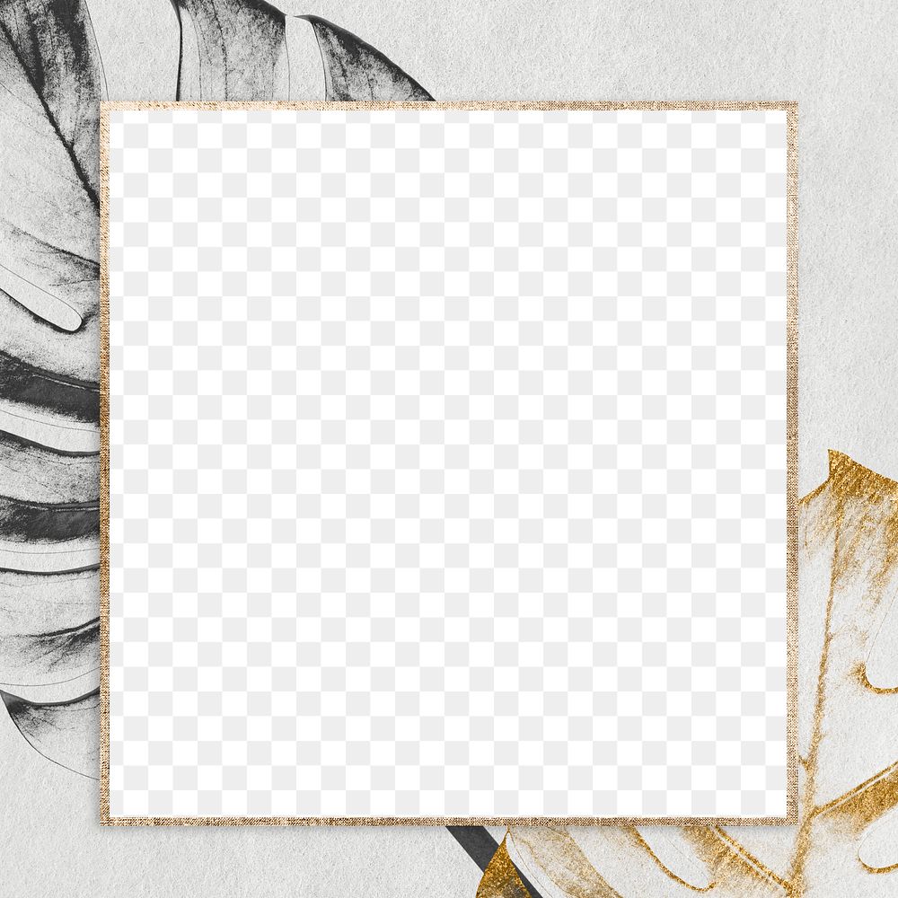 Golden square monstera frame design element 