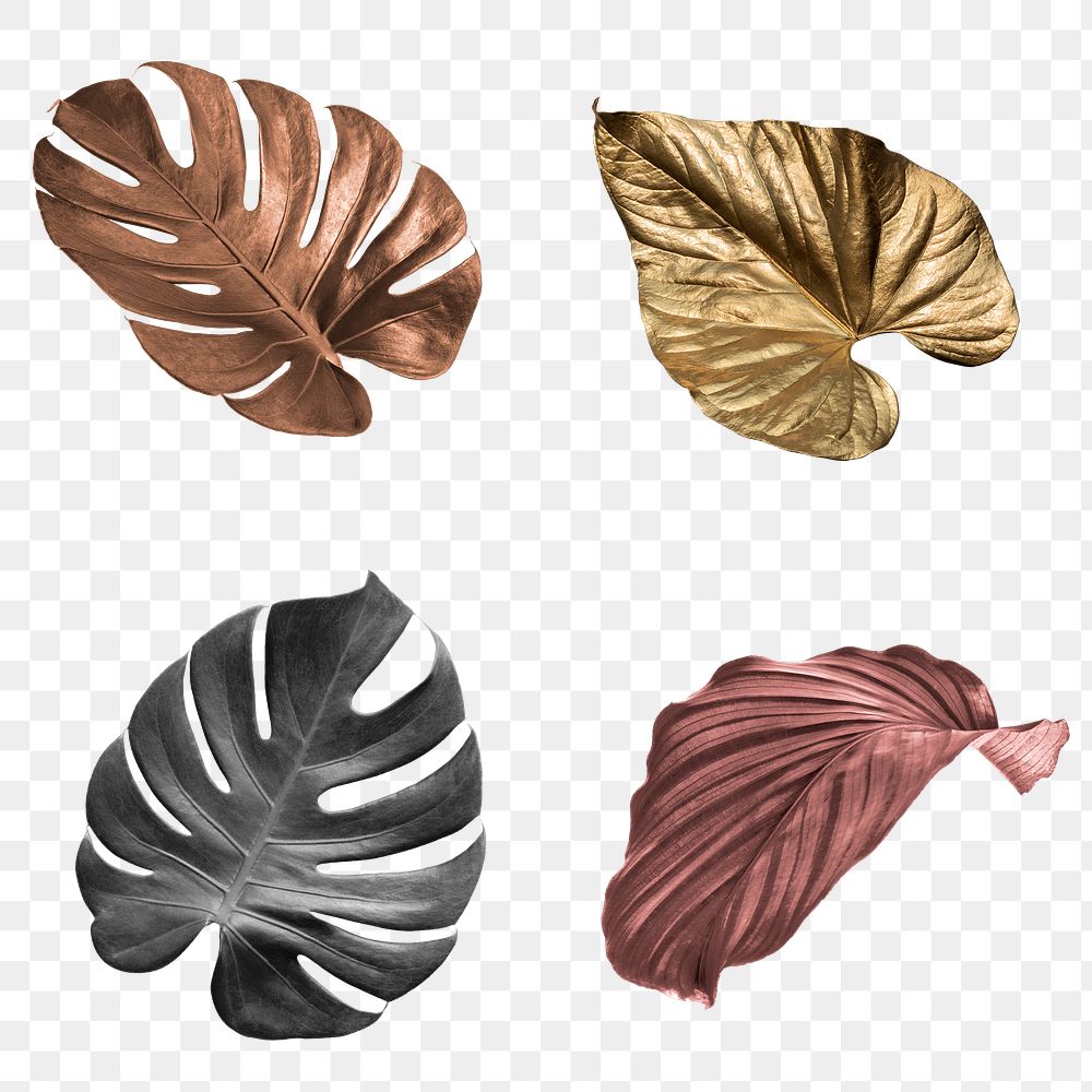 Metallic tropical leaf design element set