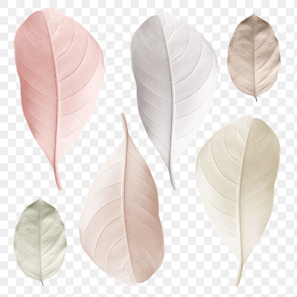 Mix of pastel leaves design element