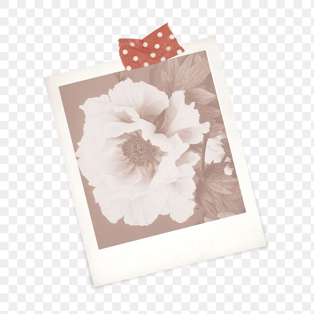 Peony in an instant photo frame with washi tape design element