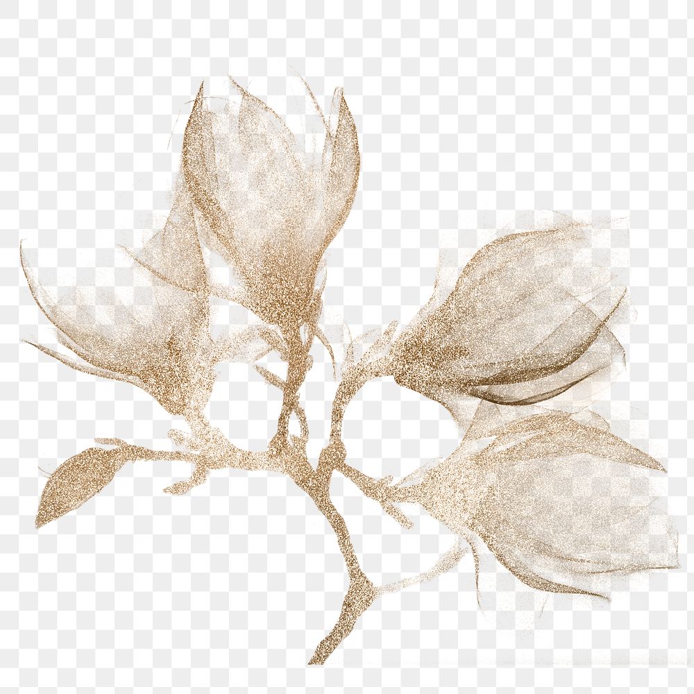 Magnolia x-ray design transparent png, remix from original artwork