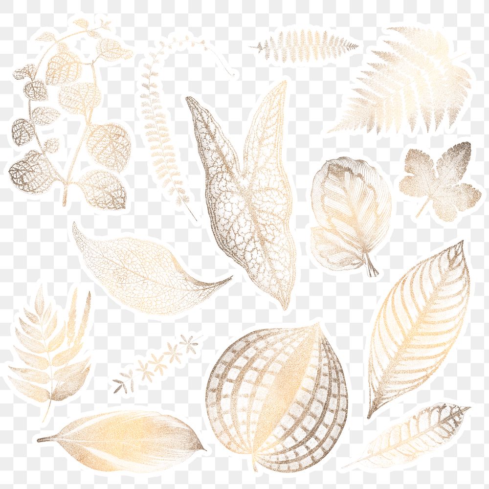 Shimmering golden fern leaves sticker set design resources