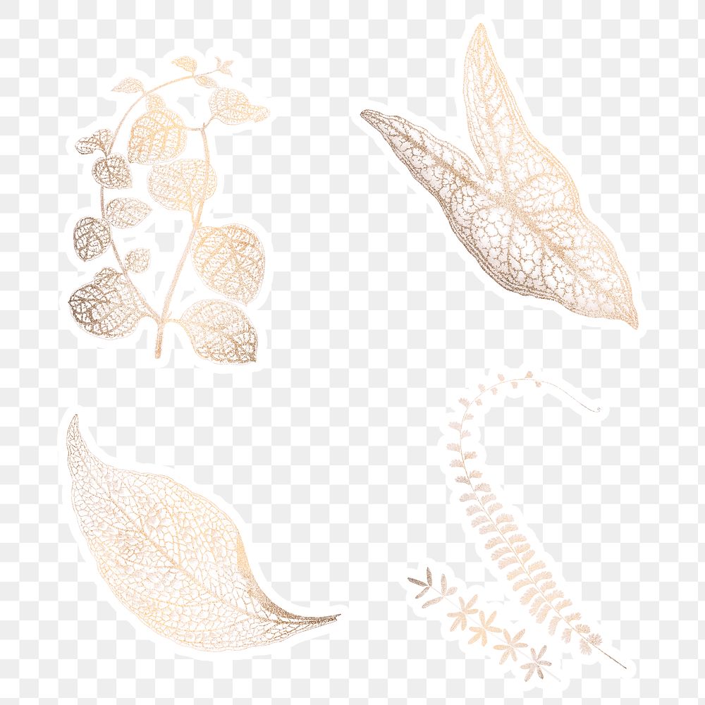 Shimmering golden leaves sticker set design resources
