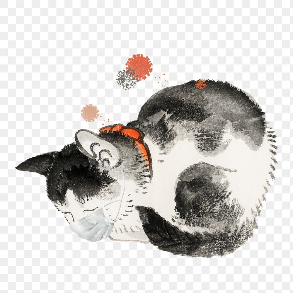 Cute cat wearing a surgical mask during the… | Free stock illustration | High Resolution graphic Cute cat wearing a surgical mask during the coronavirus pandemic