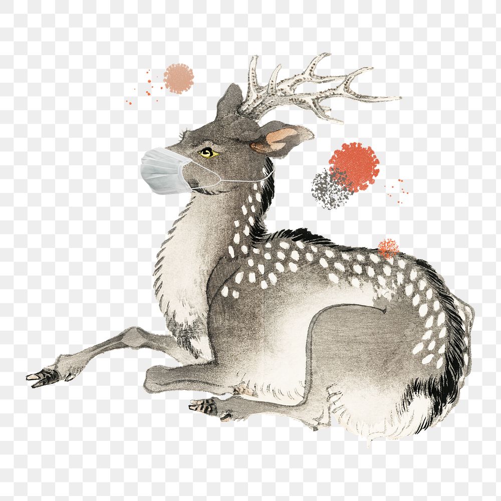 Deer wearing a surgical mask during the coronavirus pandemic