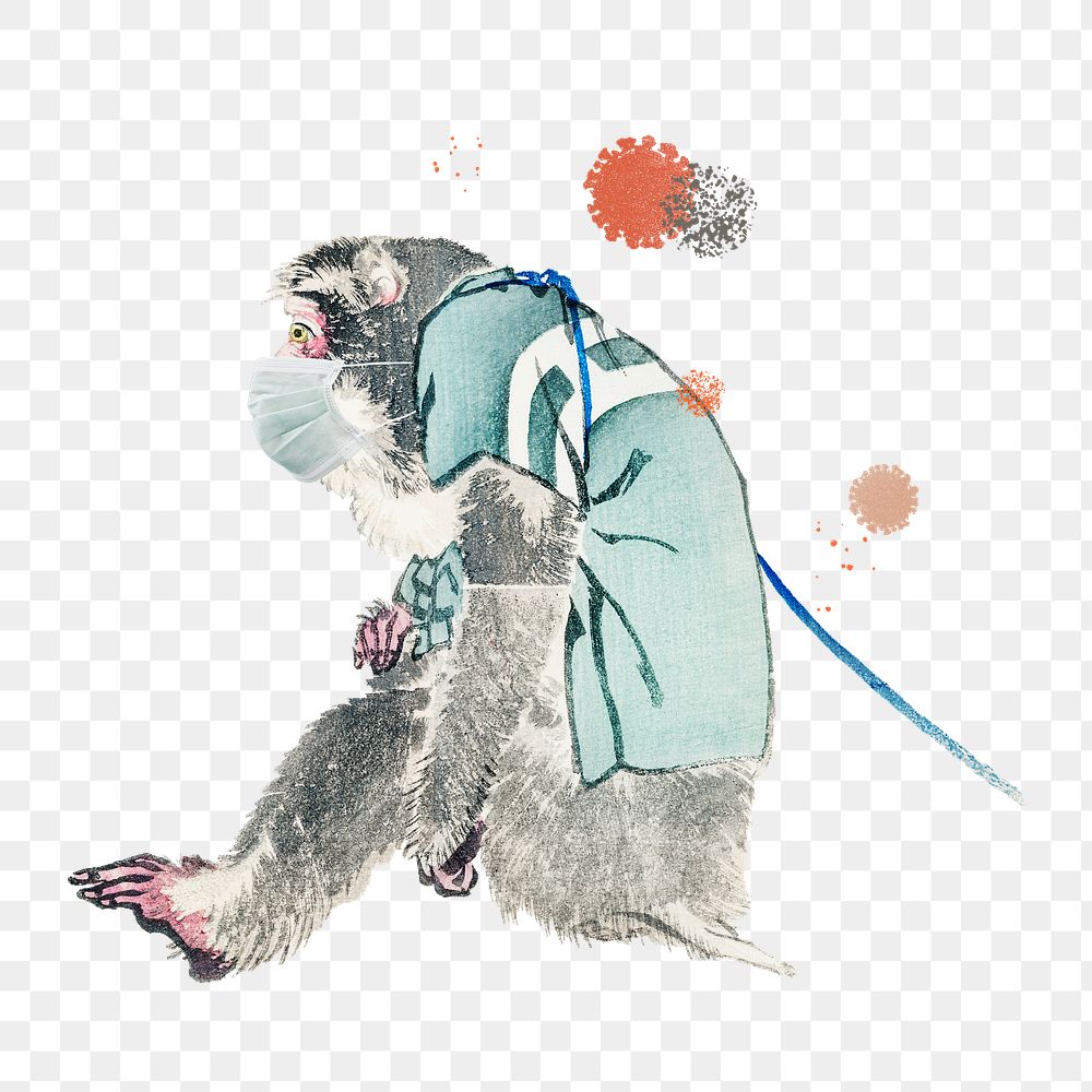 Monkey wearing a surgical mask during the coronavirus pandemic