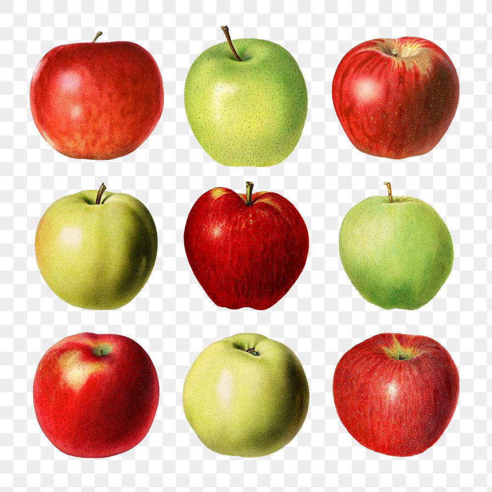 какое яблоко лишнее