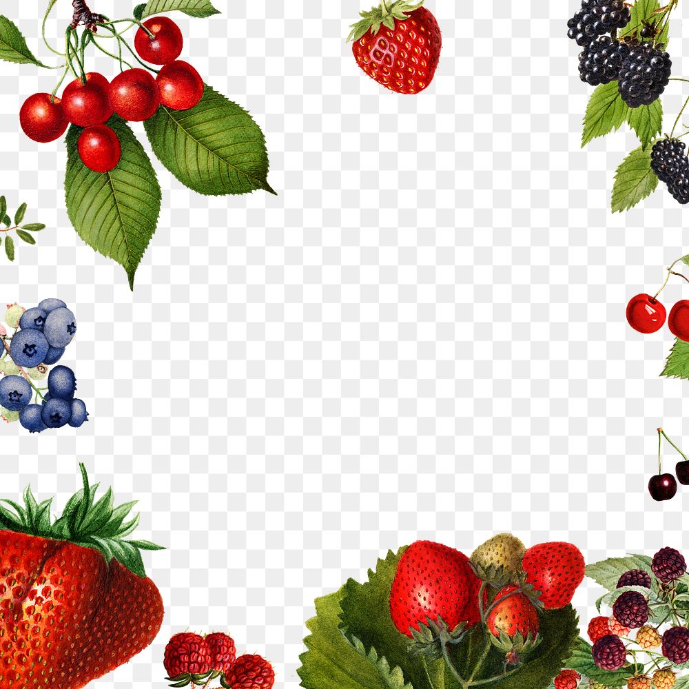 Hand drawn mixed berries frame design element