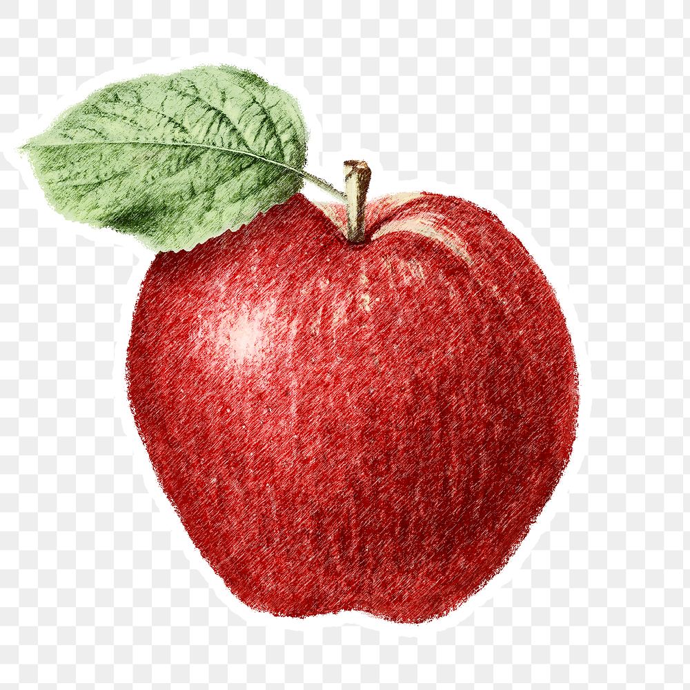 Red apple sketch design element 
