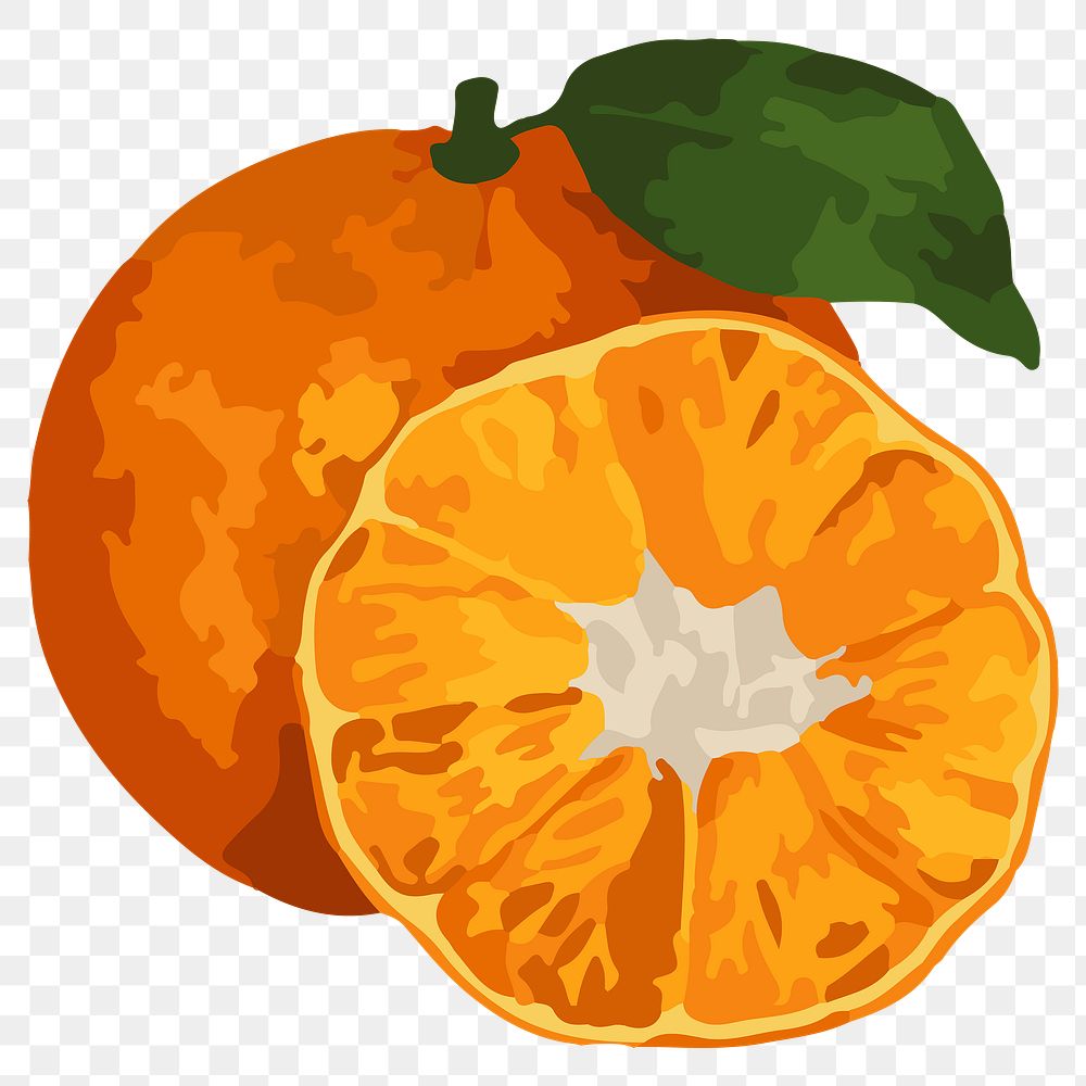 Hand drawn vectorized tangerine orange sticker design element