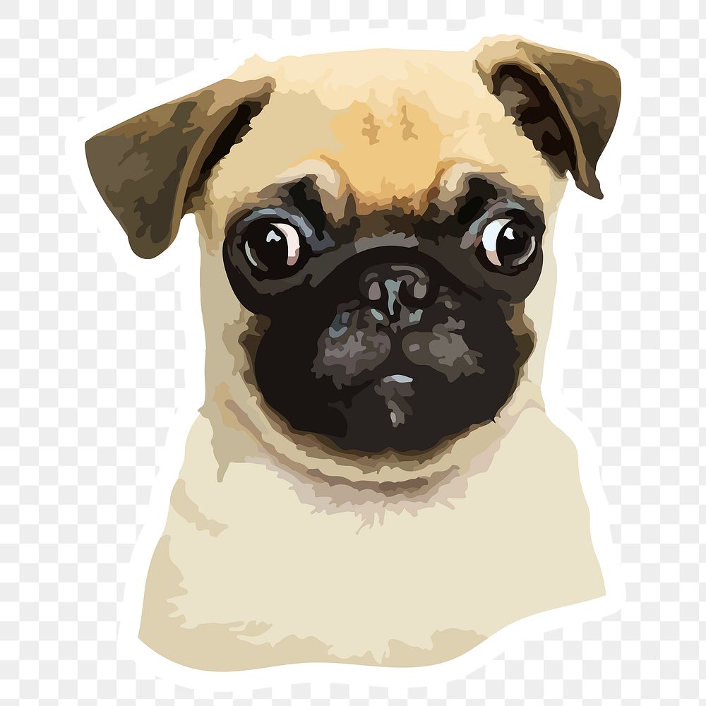 Vectorized adorable pug sticker with a white border