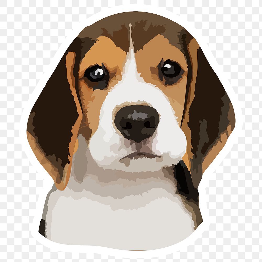 Vectorized adorable beagle sticker with a white border