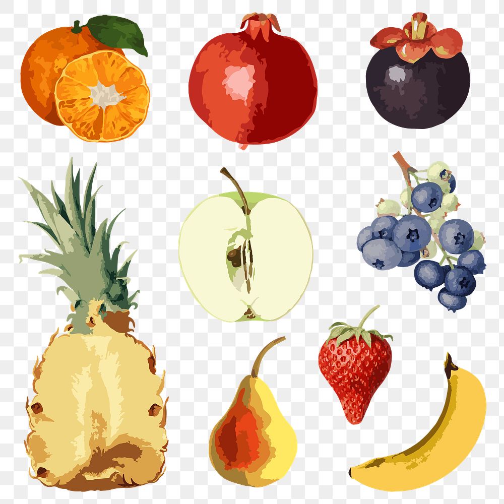 Vectorized tropical fruit sticker collection design elements 