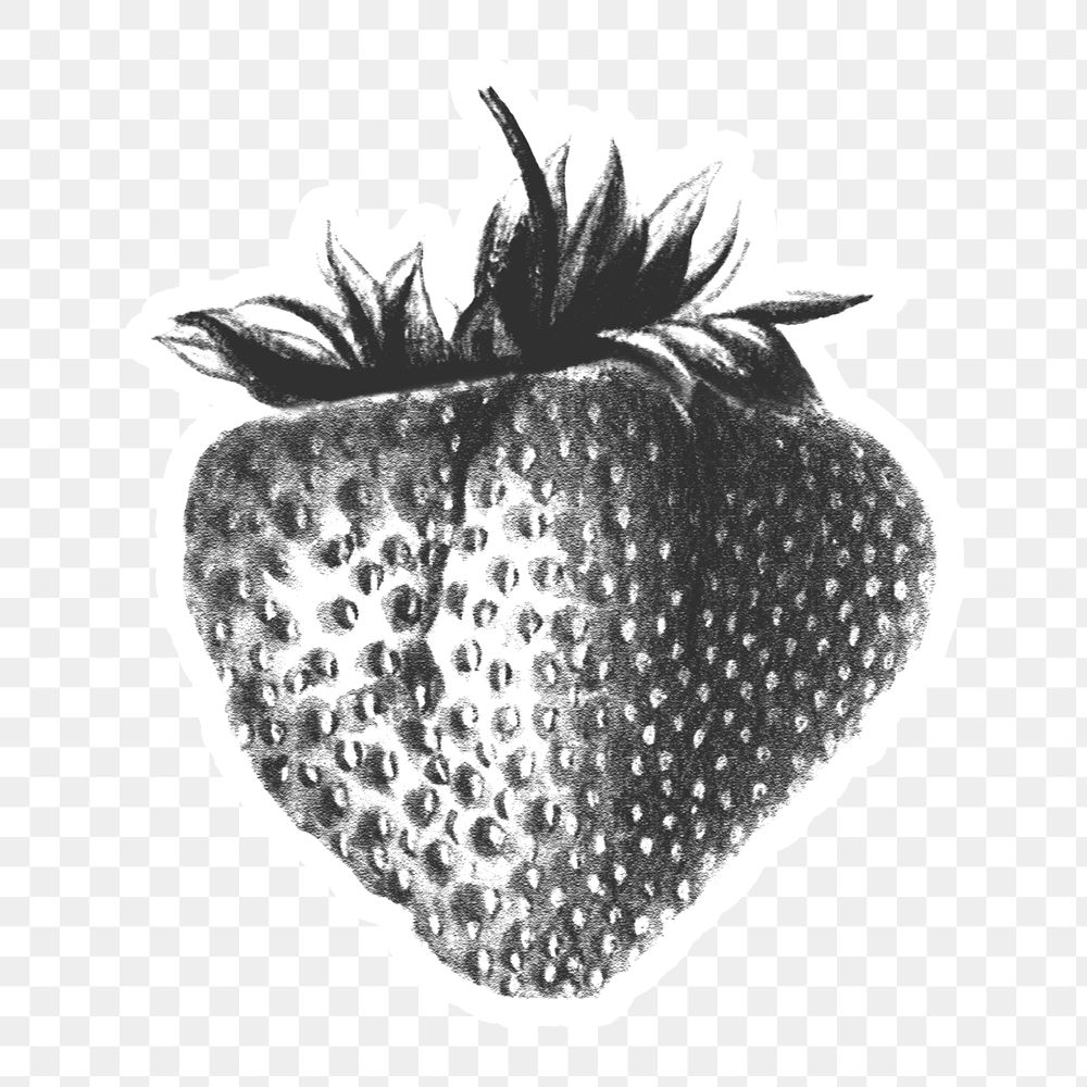 Hand drawn black and white strawberry sticker design element with white border