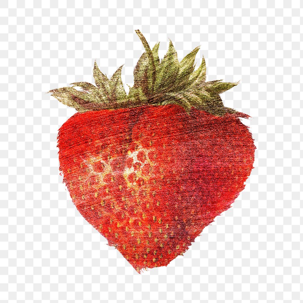 strawberry brush procreate free