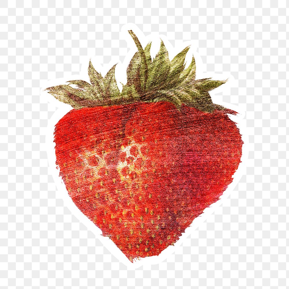 Hand drawn strawberry brush stroke style sticker design element with white border