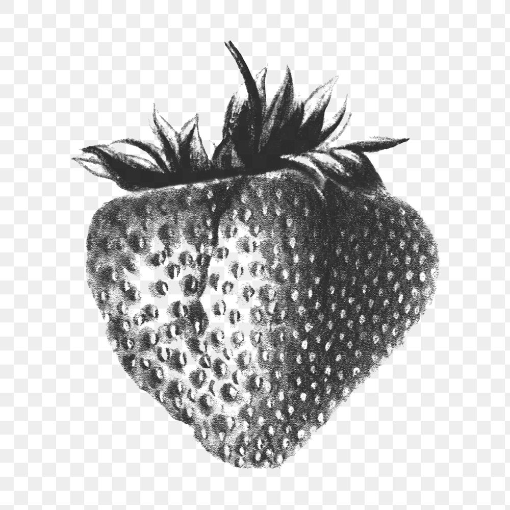 Hand drawn black and white strawberry design element