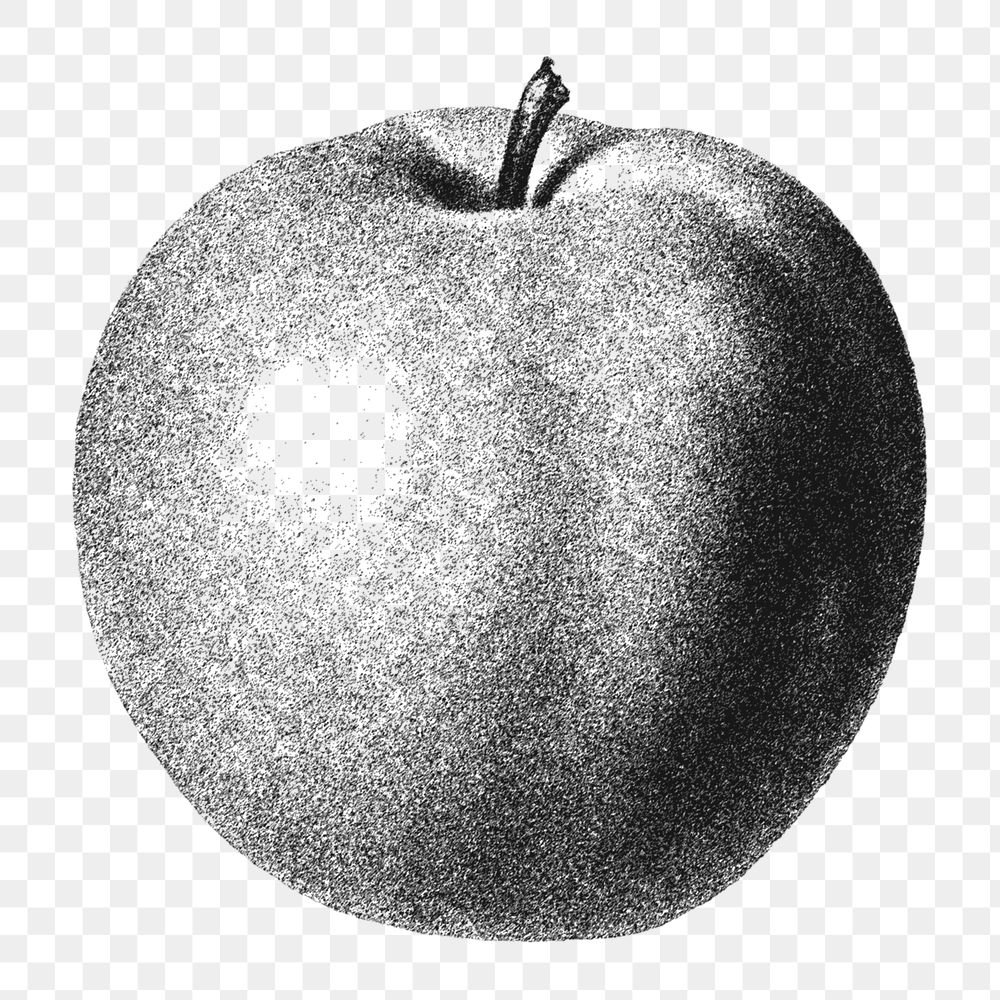 Hand drawn monotone apple sticker design element