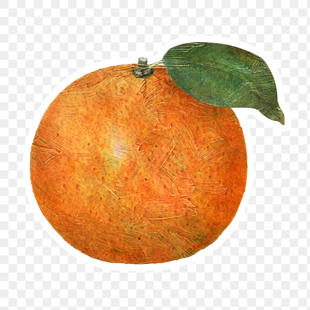 Hand drawn tangerine fruit sticker with white border