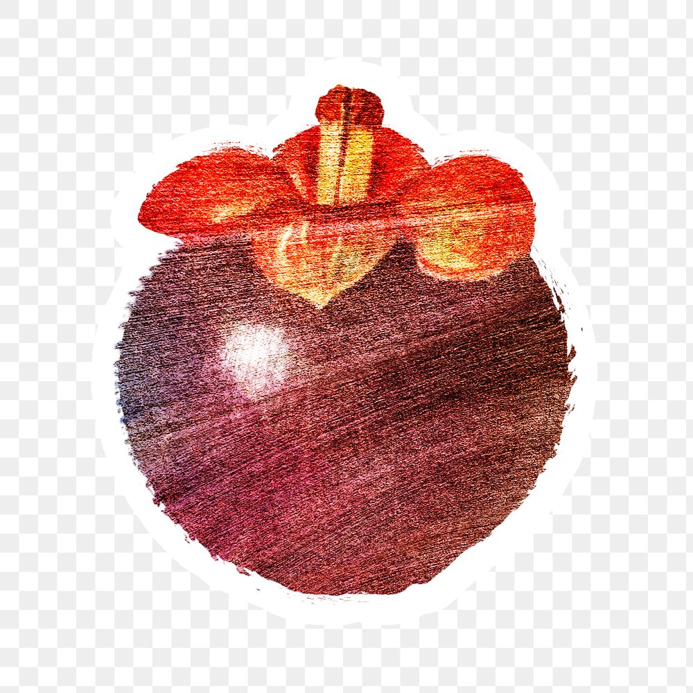 Hand drawn mangosteen fruit sticker with white border