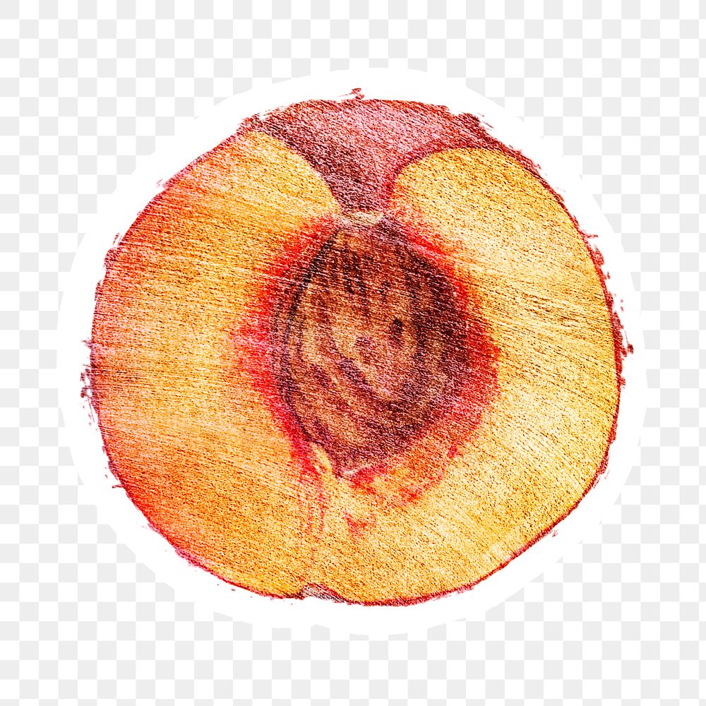 Hand drawn half of peach fruit sticker with white border