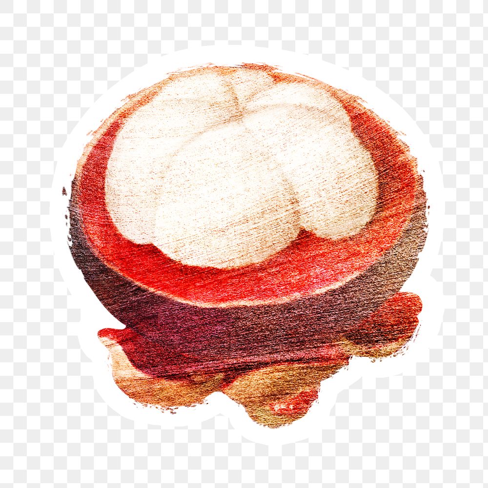 Hand drawn mangosteen fruit sticker with white border