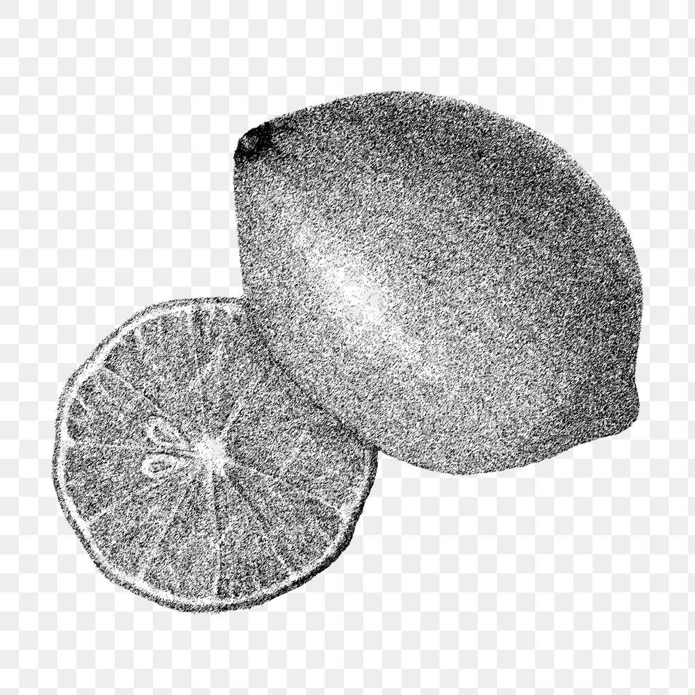 Hand drawn monotone lemon fruit design element