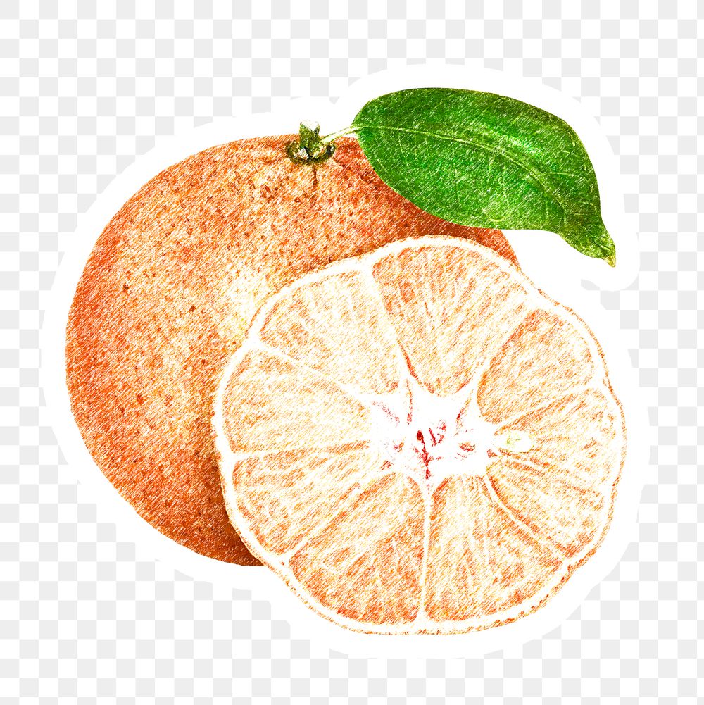 Hand colored tangerine orange fruit sticker with a white border