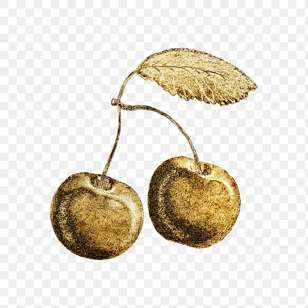 Gold cherry fruit sticker design element