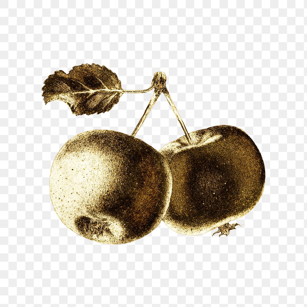 Gold apple fruit sticker design element