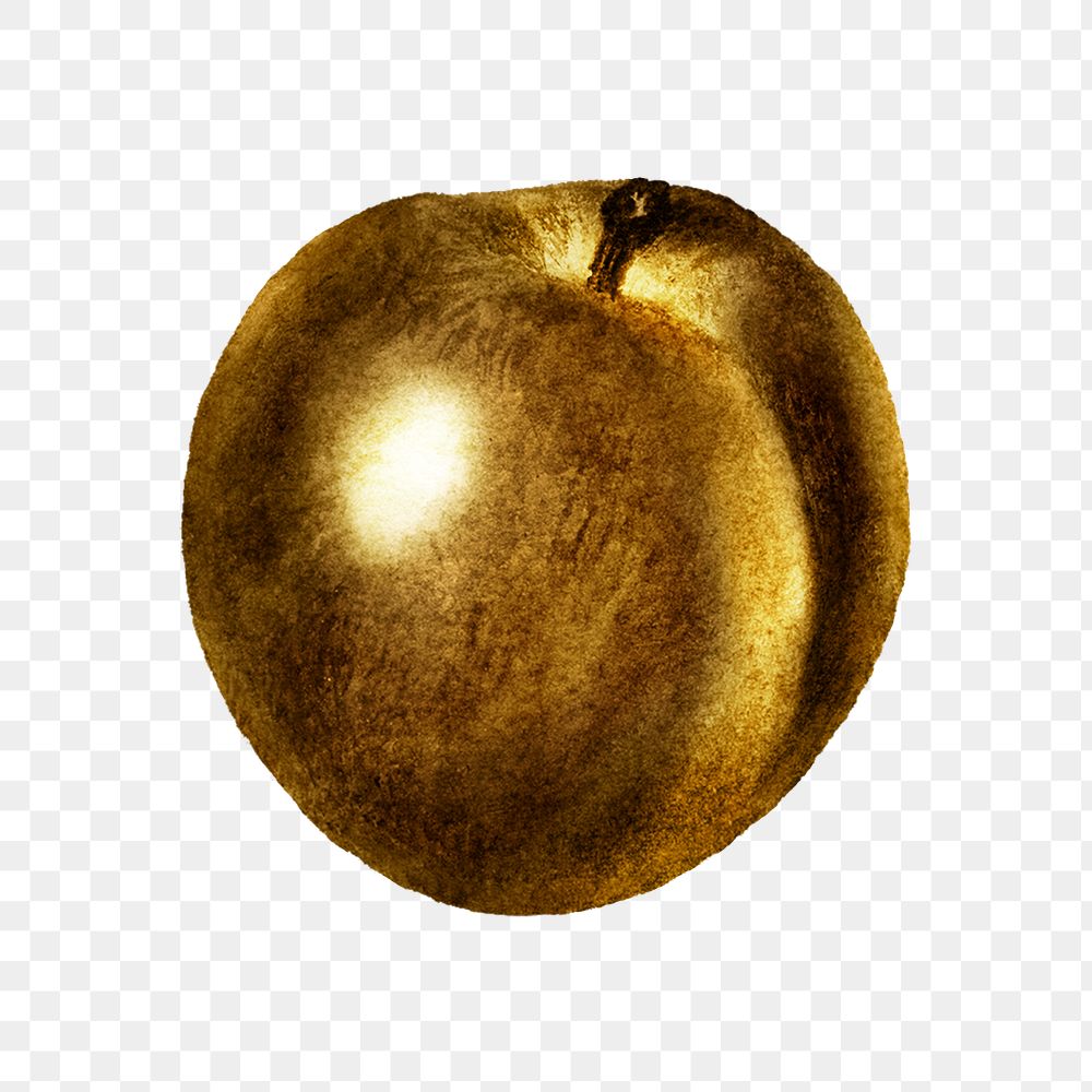 Gold plum fruit sticker design element