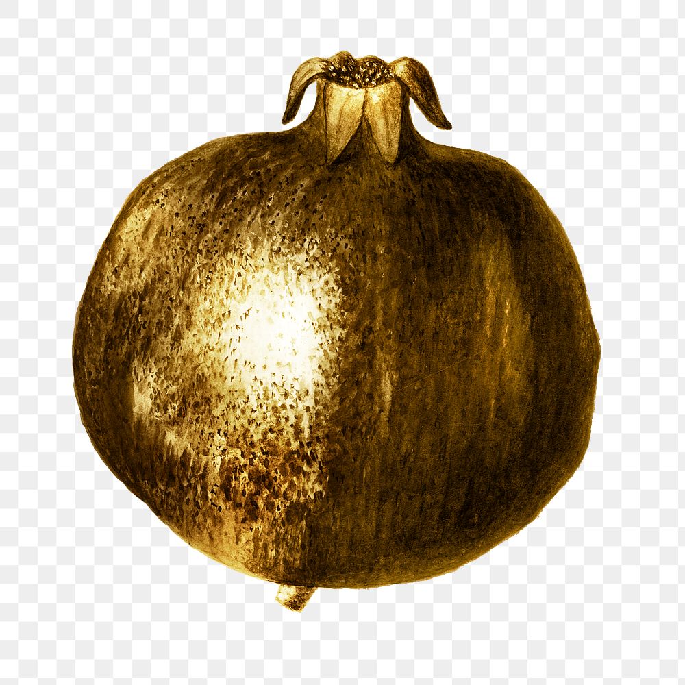 Gold pomegranate sticker design element