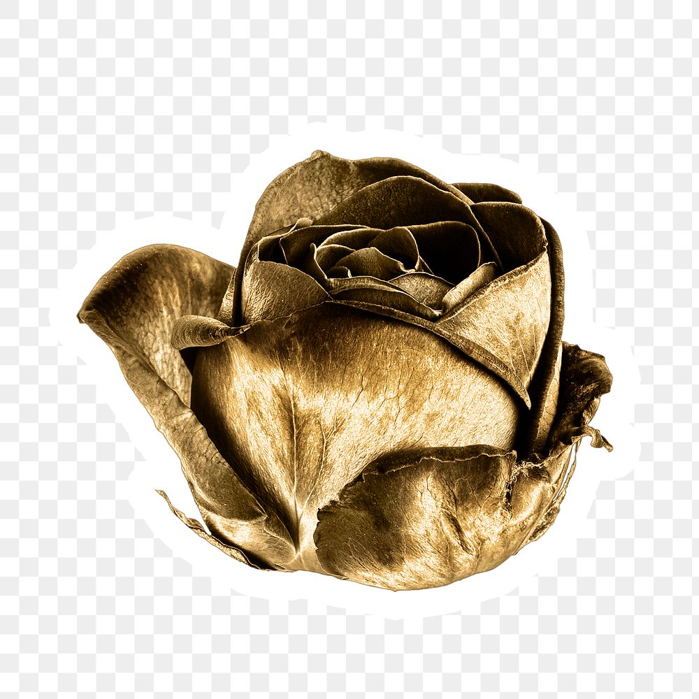 Gold rose flower sticker with a white border