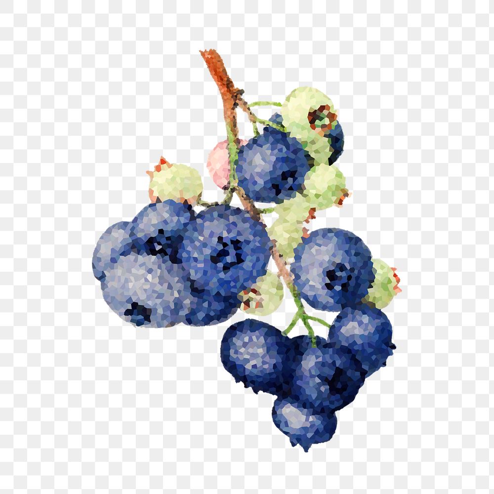 Branch of blueberries crystallized style overlay