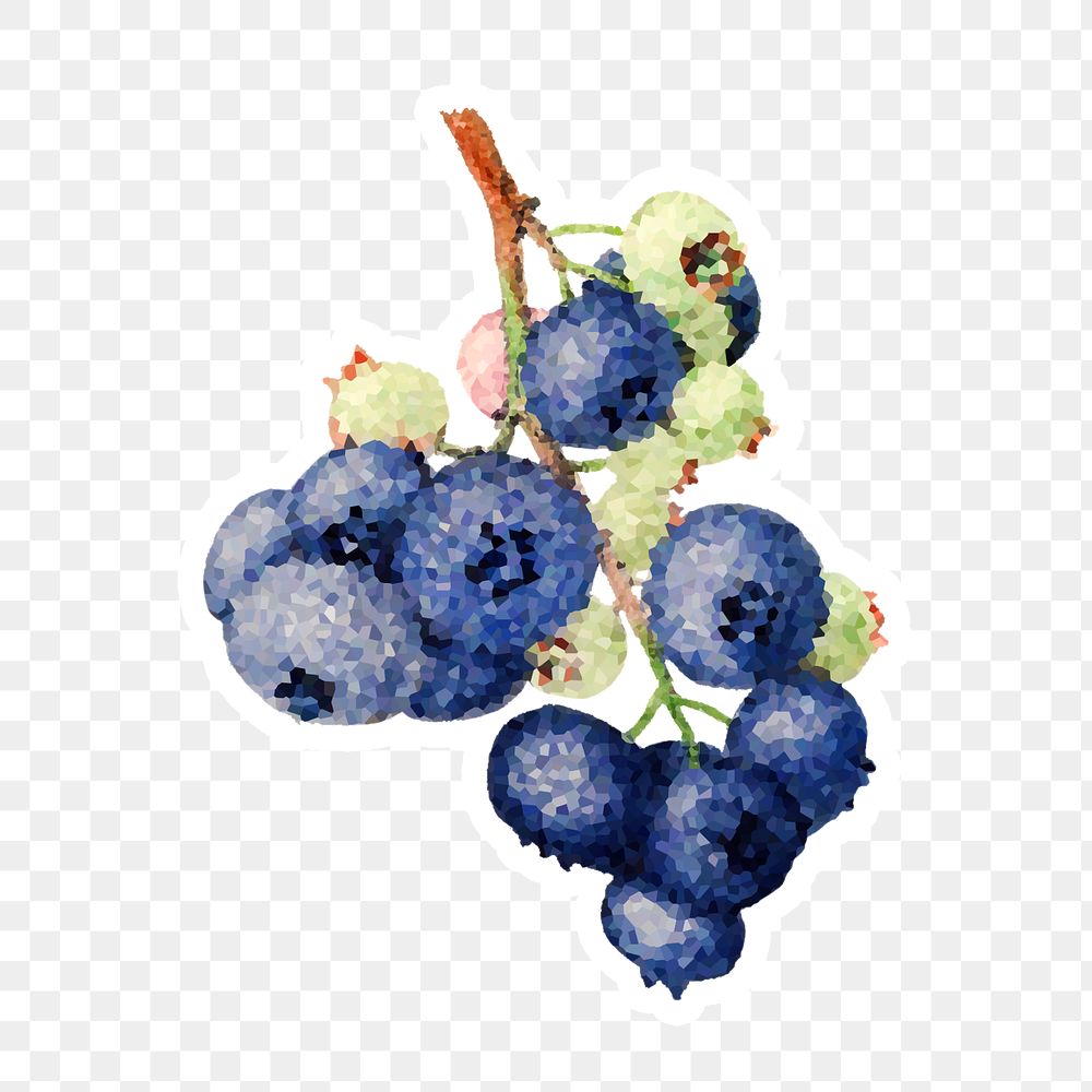Branch of blueberries crystallized style sticker overlay