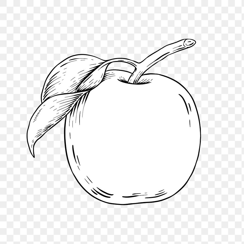 48+ Outline Apple Png Clipart Images