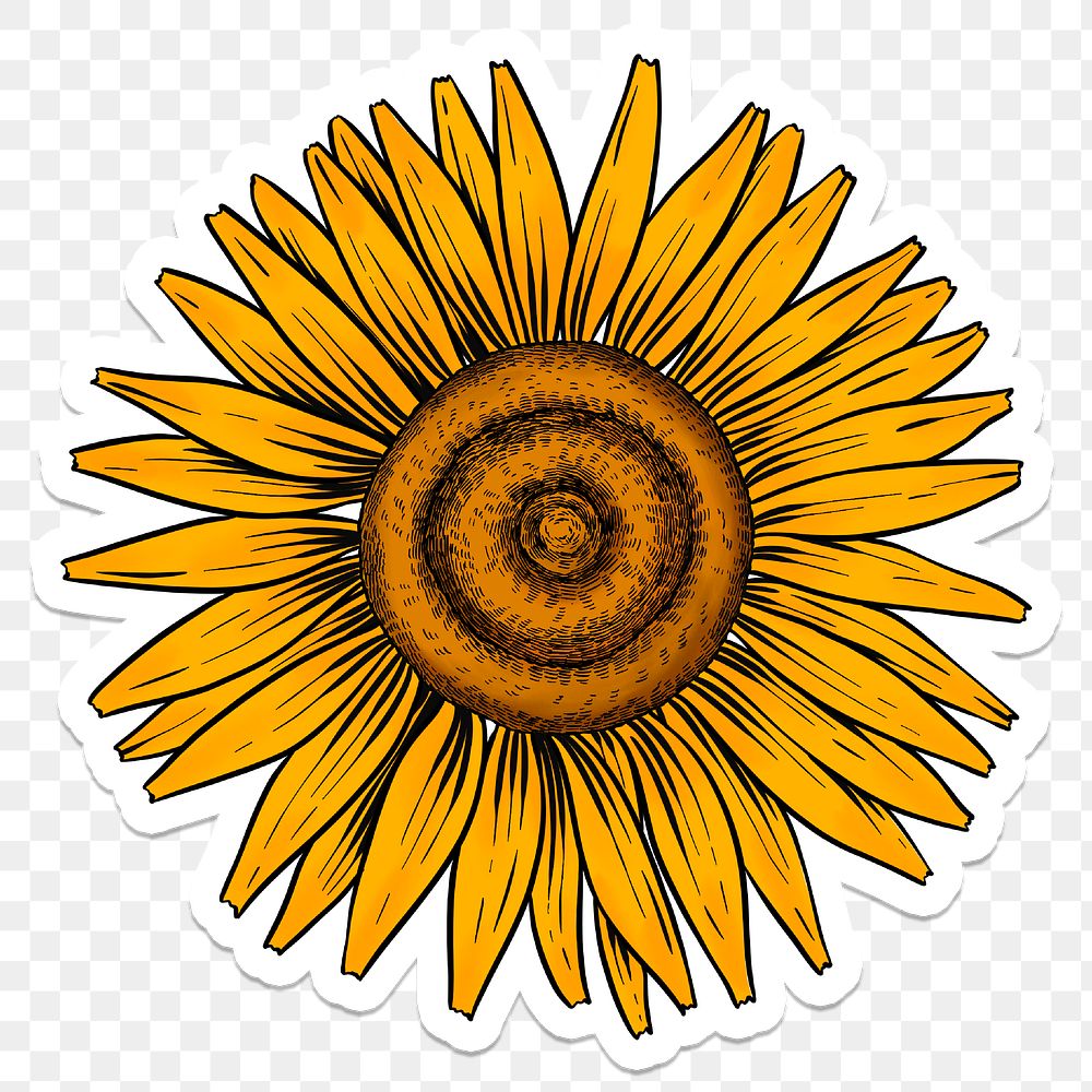 Yellow sunflower sticker with a white | Free PNG Sticker - rawpixel