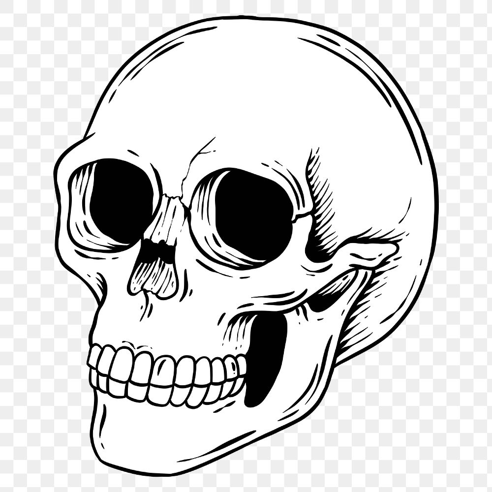 White skull sticker design element